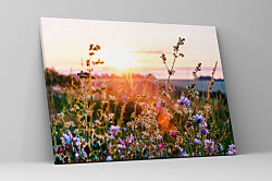 Obraz Na zelenej lúke 1879